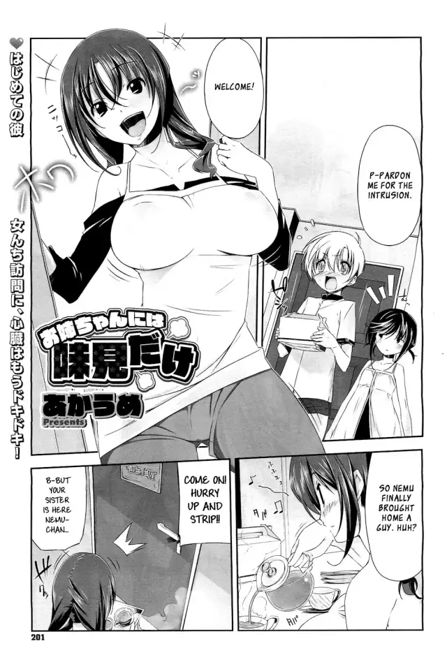 Onee-chan ni wa Ajimi dake | Only a Taste for Onee-chan cover