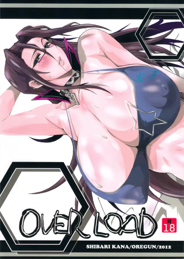 OVER LOAD cover