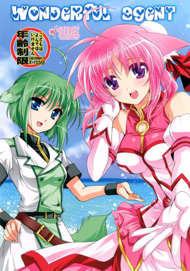 Wonderful Agent cover