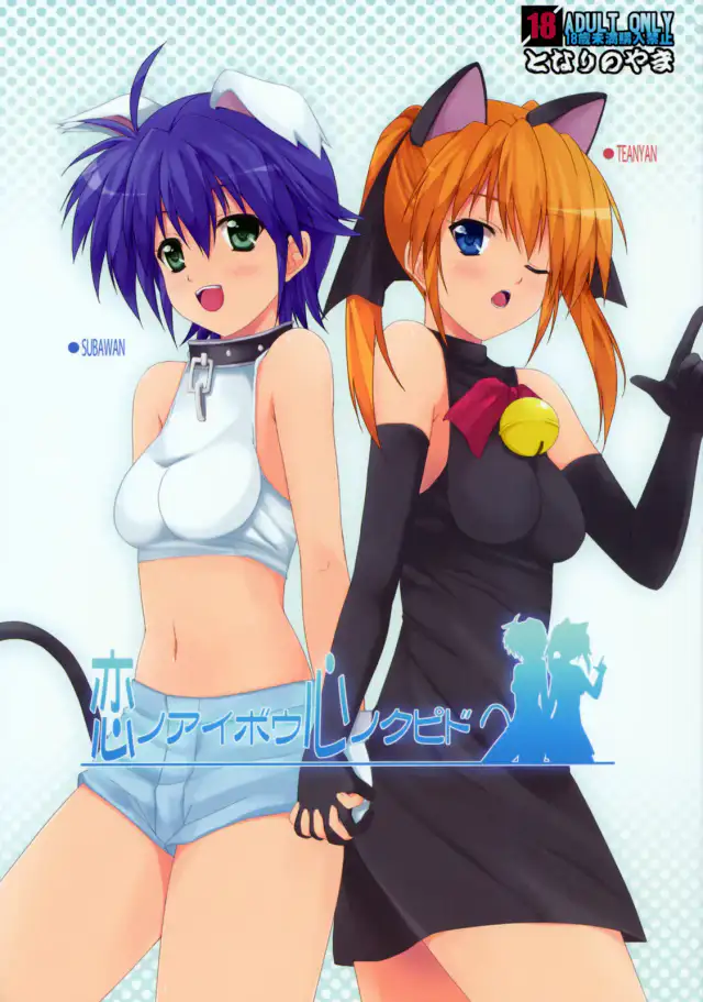 Partners In Love, Cupid of the Heart cover